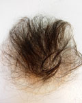 女性用アンダーヘア人工皮膚ベース
